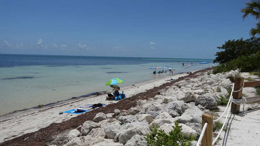 MIA_2023-08-11 13-44-41_RX_05871